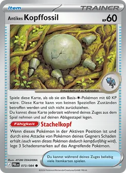Antikes Kopffossil