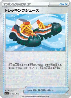 Botas de Expedición
