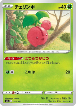 Kikugi