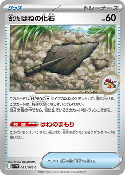 Antikes Federfossil
