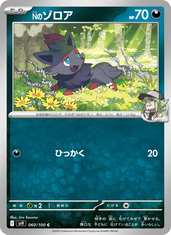 Zorua de N