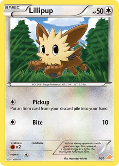 Ponchiot