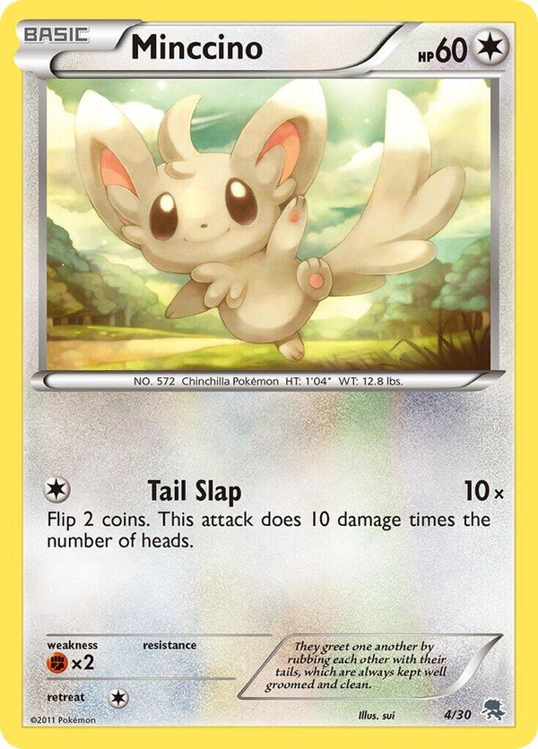 Minccino