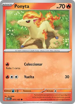 Ponyta