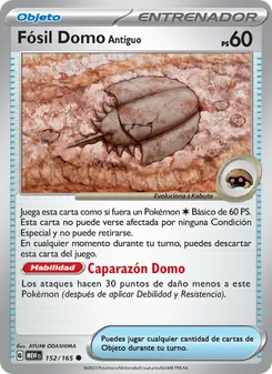 Fósil Domo Antiguo