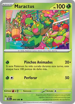 Maractus