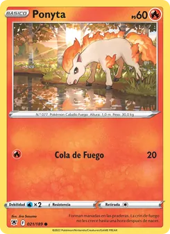 Ponyta