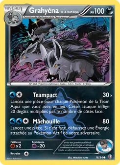 Grahyèna de la Team Aqua