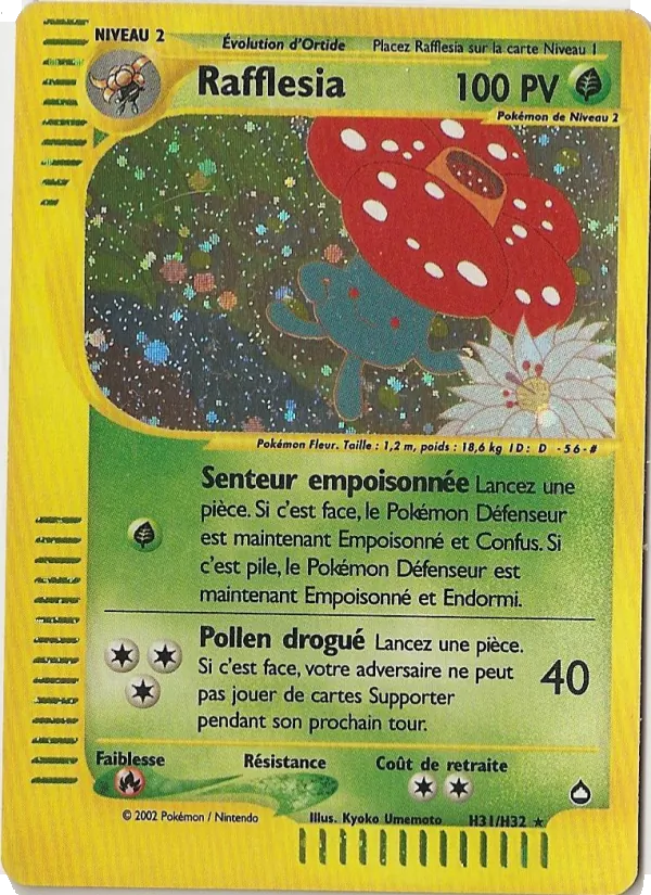 Rafflesia