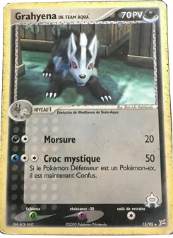 Grahyena de Team Aqua