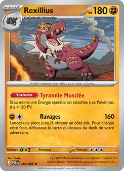 Rexillius