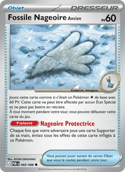 Fossile Nageoire Ancien