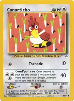 Canarticho