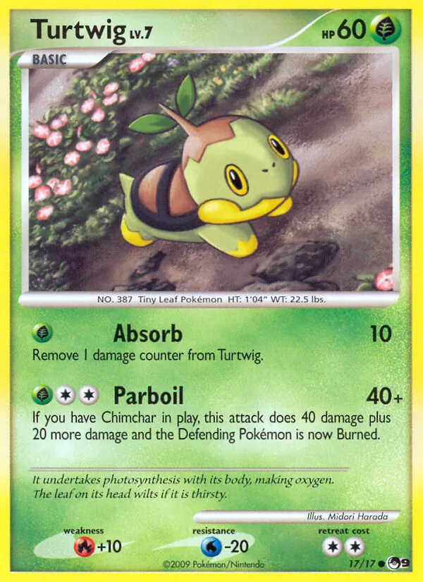 Tortipouss