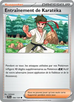 Entraînement de Karatéka