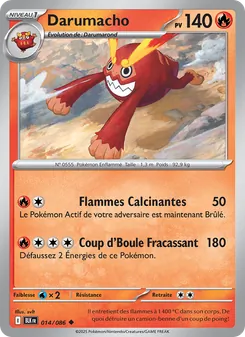 Darumacho