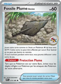 Fossile Plume Ancien