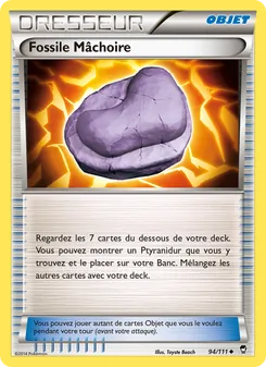 Fossile Mâchoire