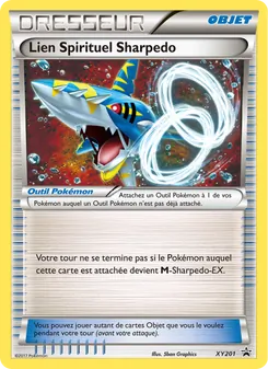 Lien Spirituel Sharpedo
