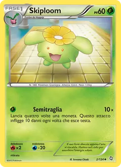 Skiploom