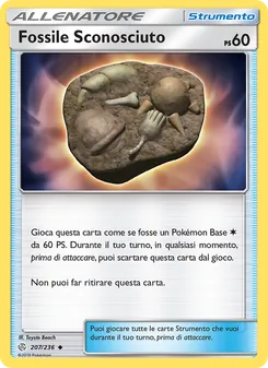 Fossile Sconosciuto